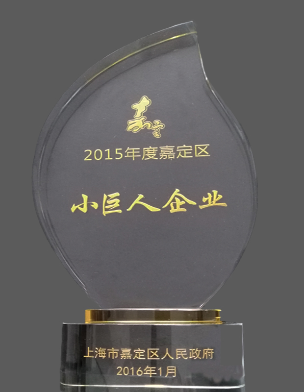 2015年度嘉定区小巨人企业奖杯-上海沪工阀门厂